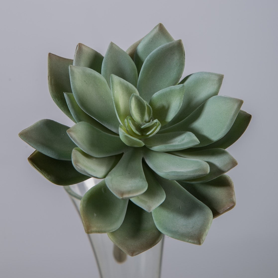 Set van twee kunstplanten in de vorm van lotus succulenten, elk 14x10 cm, met gedetailleerde, zachte groene bladeren en een natuurlijke uitstraling, perfect voor decoratie.