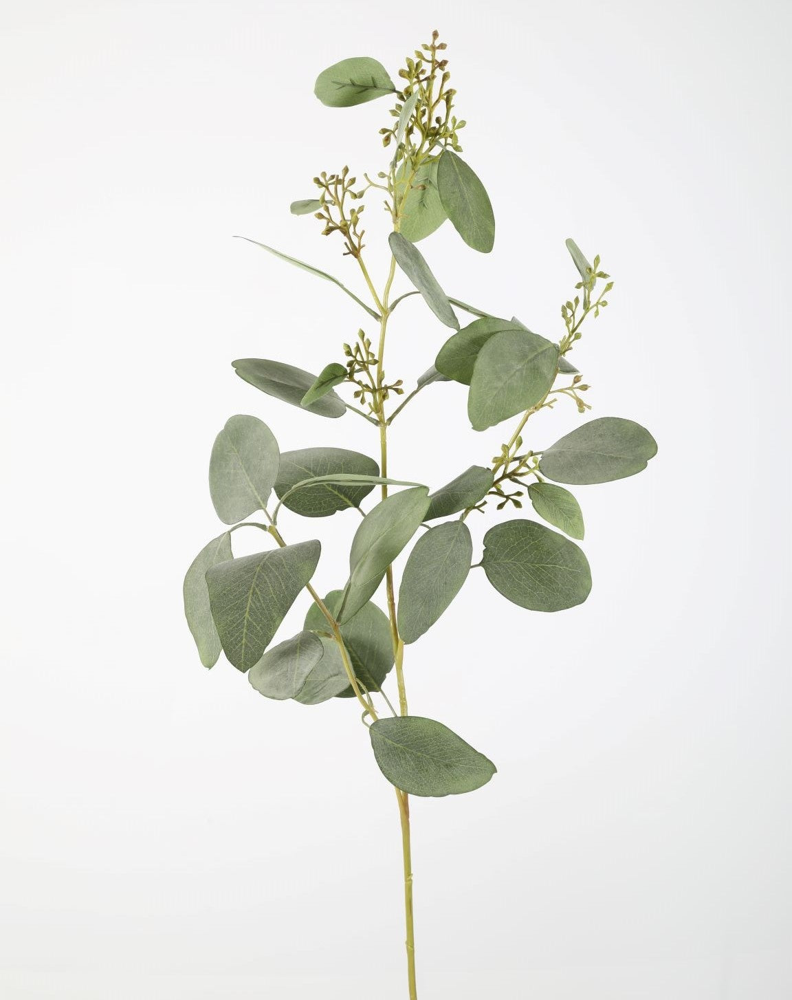 Kunsttak van eucalyptus met knoppen, 102 cm lang, met delicate groene bladeren en realistische knoppen, geschikt voor bloemstukken.