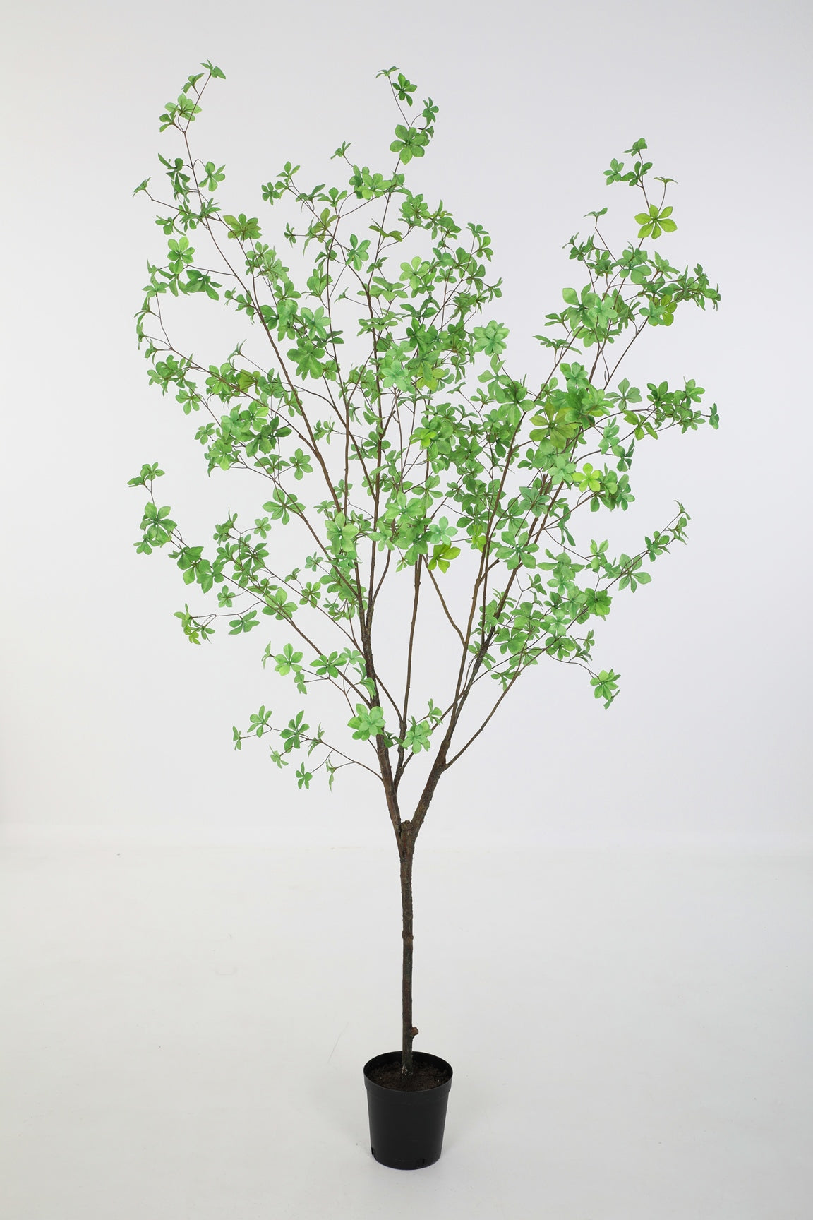 Flora Arte Kunstboom Dodan Tree Groen - 190 cm