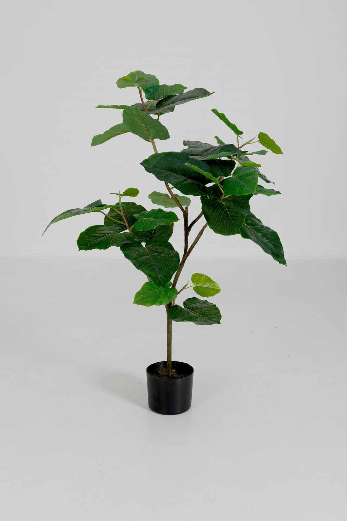 Kunstboom van een Ficus Umbellata, 125 cm hoog, met volle, groene bladeren op een stevige stam, ideaal voor binneninrichting